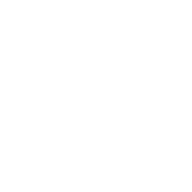 GS Favicon_white